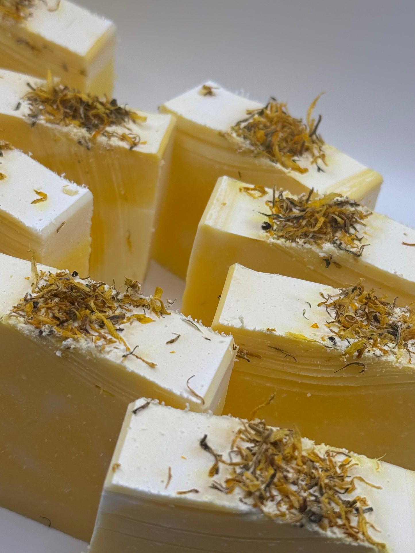 Lather Up! - Bar Soap new scents every month